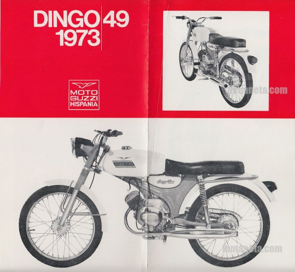 dingo49_1