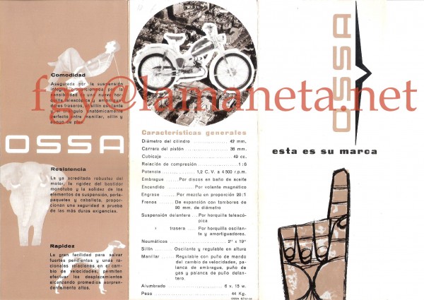 ossa50d_02