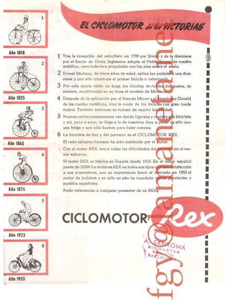 rex_01