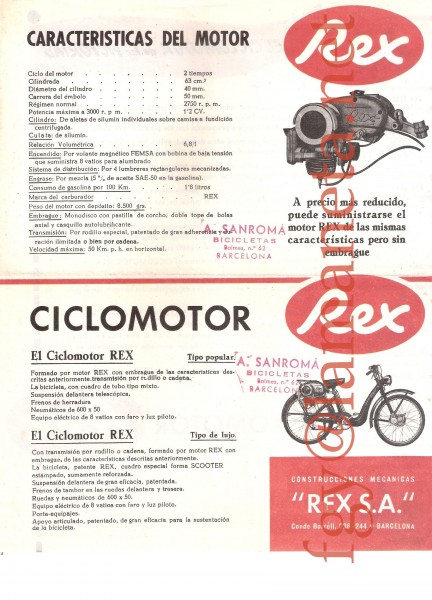 rex_02