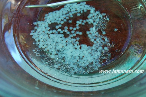 hacer plastico-0006