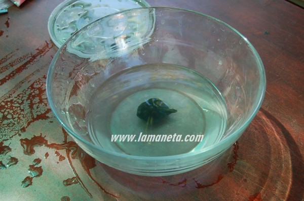 hacer plastico-0011