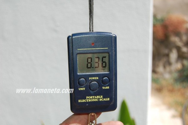 hacer plastico-0016