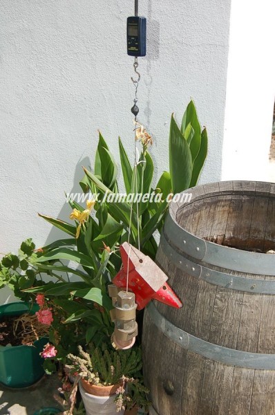 hacer plastico-0017